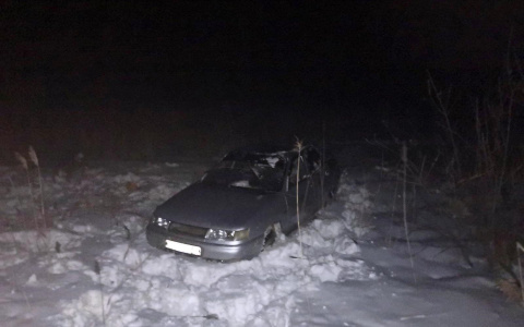 В Мордовии «ВАЗ» вылетел в кювет и опрокинулся