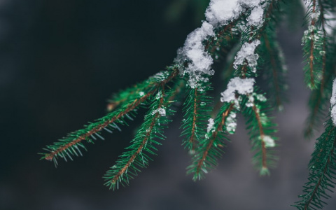 Синоптики рассказали о погоде в Саранске на 9 февраля