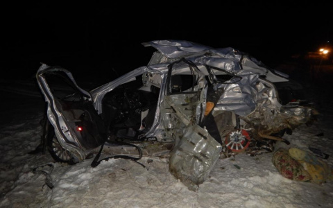 Стали известны подробности страшной аварии в Мордовии, в результате которой погибли отец и сын