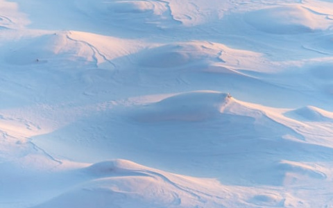 В Мордовии молодые парни, сбившись с пути, едва не замерзли в поле