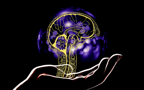 Тест: Узнай, с какой знаменитостью у тебя одинаковый IQ