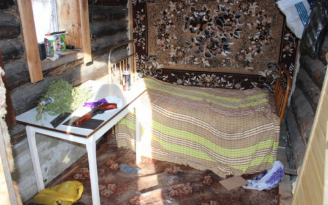 За оружие покойного отца житель Мордовии попал под статью