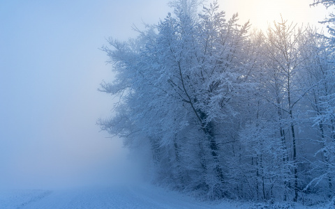 МЧС предупреждает жителей Мордовии об ухудшении погоды