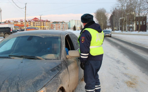 ГИБДД Мордовии: Массовые проверки будут проведены во всех населенных пунктах