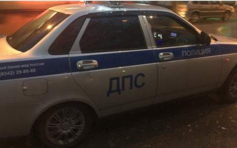 В патрульном автомобиле ДПС умер мужчина: Следком Мордовии проводит проверку