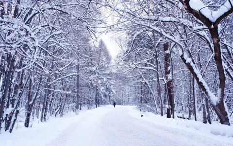 Синоптики рассказали о погоде в Саранске на 27 февраля