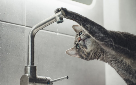 Из-за аварийных работ ряд домов в центре Саранска остался без холодной воды