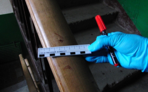 За убийство соседа житель Саранска отправится в колонию строгого режима