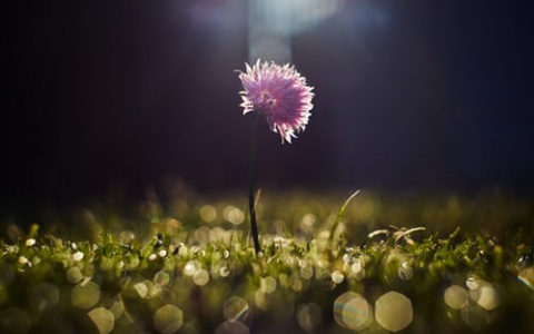 Жителям Мордовии пообещали аномально теплый март