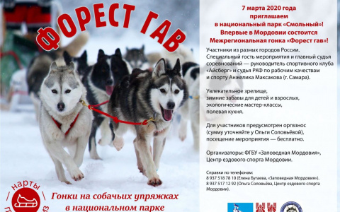 В Мордовии состоится Первая межрегиональная гонка на собачьих упряжках «Форест гав»