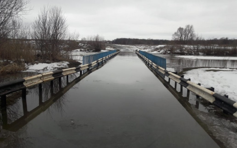 Паводок в Мордовии: подтоплены два моста