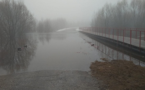 МЧС Мордовии сообщает о подтоплении еще двух мостов