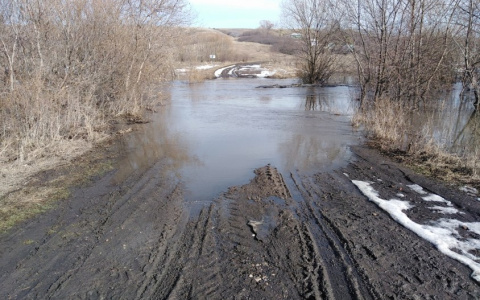 В Мордовии подтоплен очередной мост: от «большой земли» отрезана деревня с 4 жителями