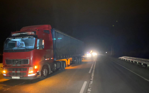 Фура сбила насмерть пешехода-нарушителя в Саранске