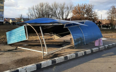 Буйство ветра: в Саранске упала остановка и рухнули деревья