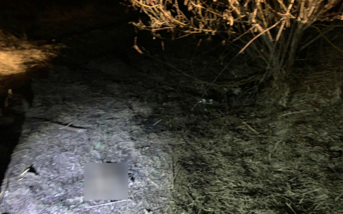 В Саранске недалеко от школы нашли тело младенца