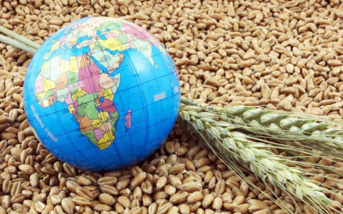 РСХБ увеличил объем кредитования АПК на 8,5%