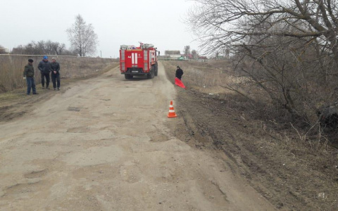 Водитель без прав съехал в кювет и врезался в дерево в Мордовии