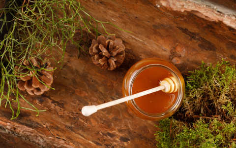 Таежный мед едет в Южную Корею