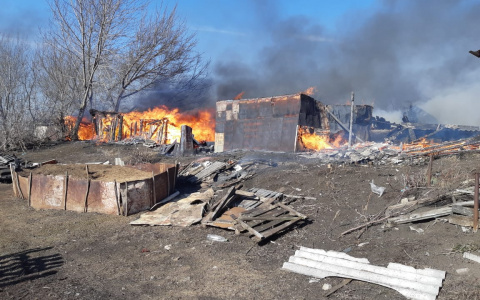 В Мордовии из-за пала травы горят сараи и заброшенные дома