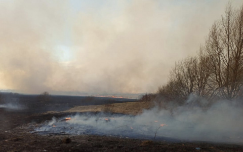 В Мордовии из-за пала сухой травы горел жилой дом
