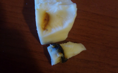 В Саранске женщина купила сыр с тараканом внутри