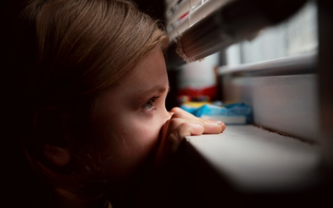 По примеру Москвы: Мишустин призвал распространить режим самоизоляции на все регионы