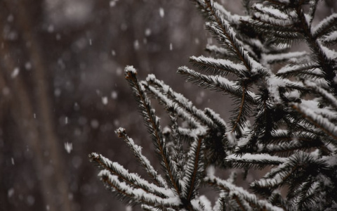 Погода в Саранске первого апреля: синоптики обещают снег