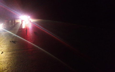 В Мордовии насмерть сбили мужчину, неожиданно вышедшего на дорогу