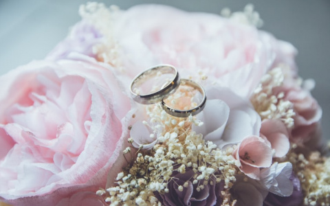 В Саранске из-за коронавируса приостанавливают регистрацию браков и разводов