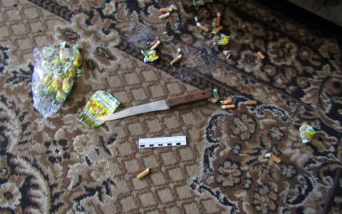 Житель Мордовии в пылу «пьяной» ссоры убил приятеля