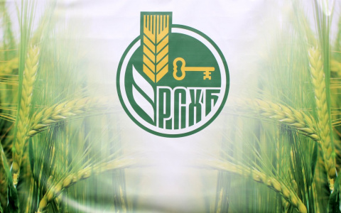 РСХБ обеспечит банковское обслуживание во всех районах присутствия в Республике Мордовия