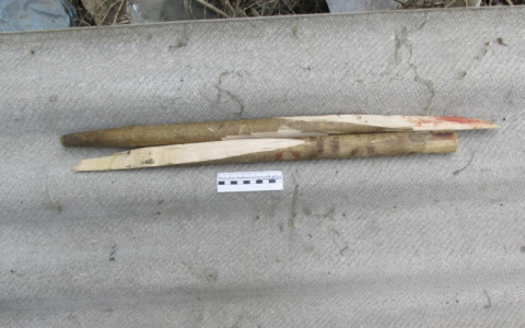 Бил черенком от лопаты: ревнивец из Мордовии проломил череп своему знакомому