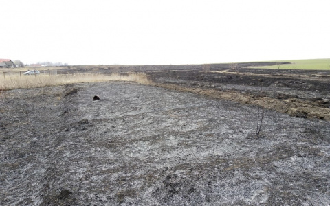 В Мордовии начали штрафовать жителей, игнорирующих противопожарный режим