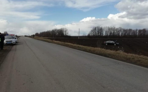 В Мордовии автоледи на иномарке «улетела» в кювет