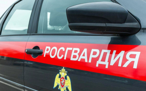 Росгвардейцы не дали молодому жителю Саранска вынести алкоголь из гипермаркета