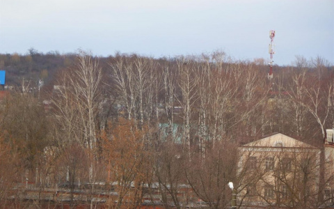 В Мордовии объявлено оперативное предупреждение