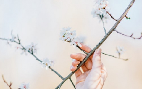 Синоптики рассказали о погоде в Саранске на 10 апреля