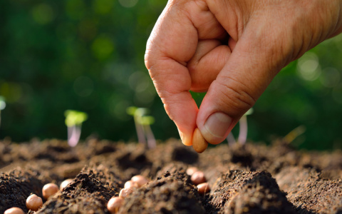 РСХБ подвел итоги использования специального кредитного продукта для субъектов МСБ «Микро АПК»