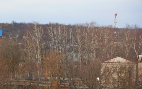 В ближайшие два дня в Мордовии будет бушевать сильный ветер