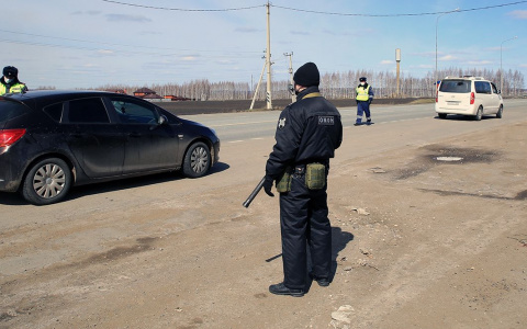 В Мордовии росгвардейцы ловят нарушителей режима самоизоляции