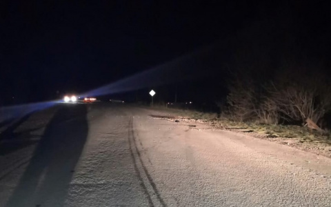 В Мордовии иномарка «улетела» в кювет: пострадали водитель и пассажир