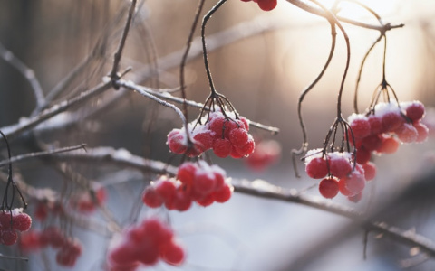 Синоптики предупредили россиян об аномальных холодах