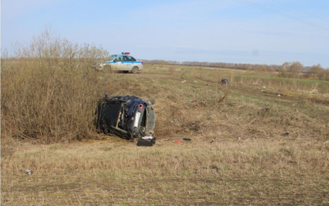 В Мордовии погиб водитель вылетевшей в кювет иномарки