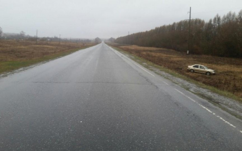 Иномарка вылетела в кювет в Мордовии: водитель погиб