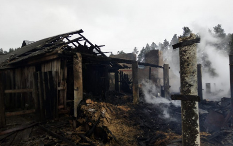 Сразу два дома горели в одном из сел Мордовии: есть погибший