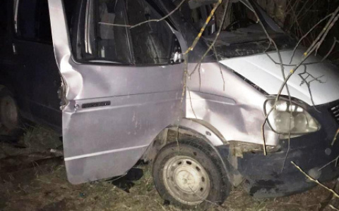 Водитель «ГАЗели» улетел в кювет в Мордовии