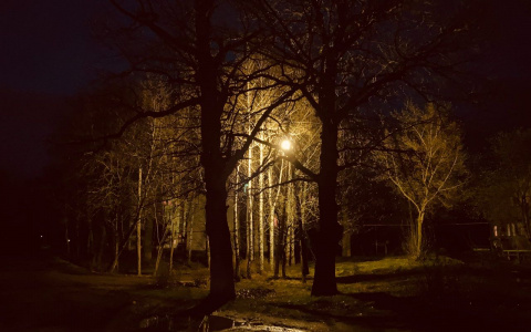 В Мордовии найдено тело Сергея Беськаева: следователи проводят проверку