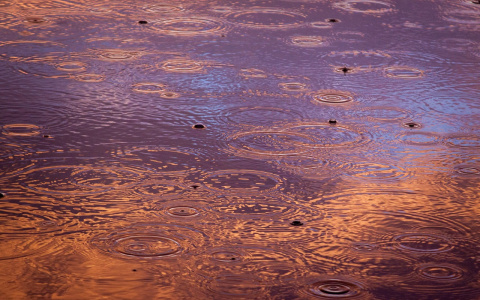 Синоптики рассказали, какую погоду ждать жителям Саранска первого мая
