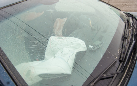 В Мордовии легковушка вылетела в кювет и опрокинулась. Есть пострадавший